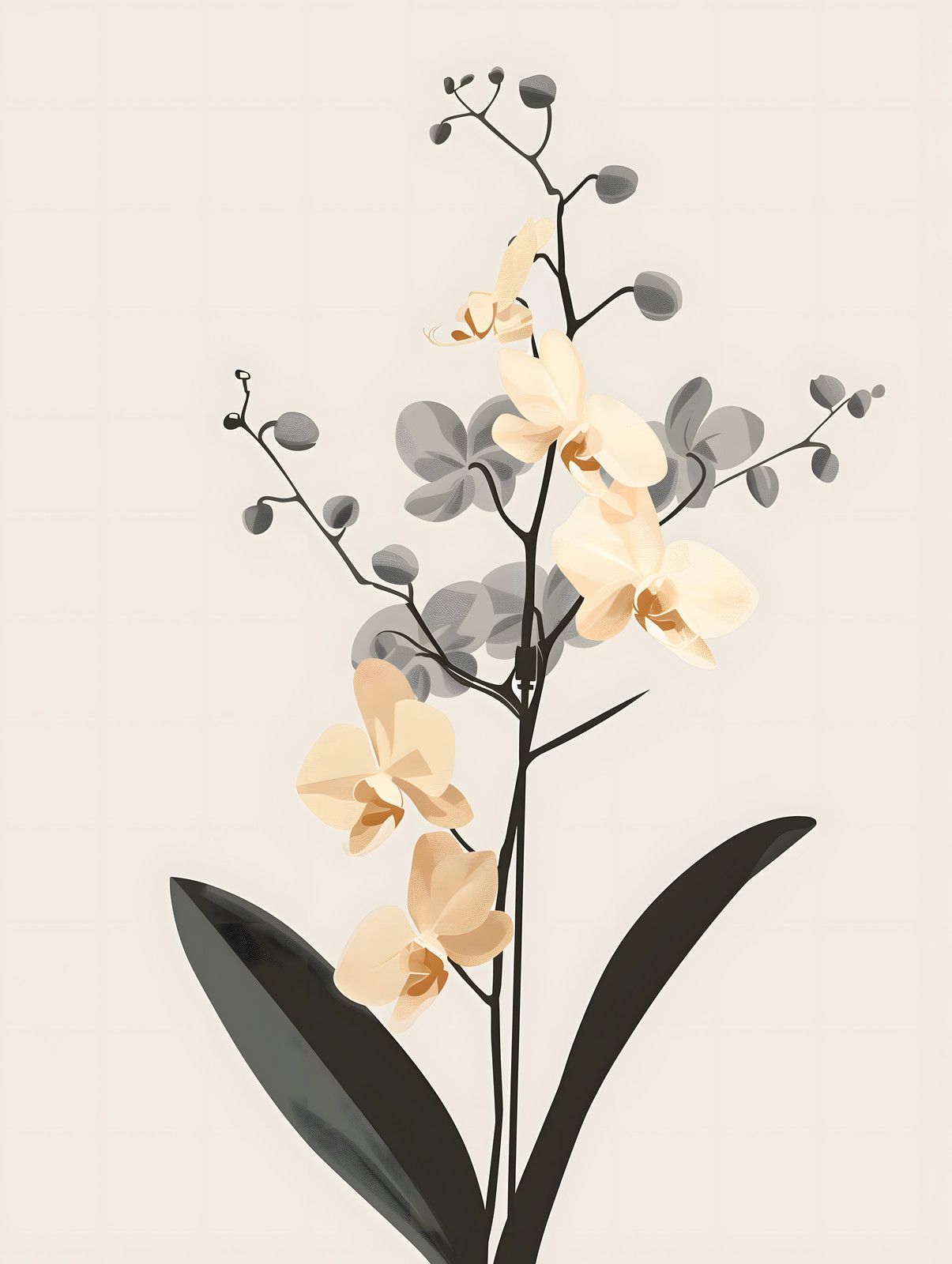 Orchid — print view
